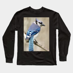 Portrait of a Blue Jay Long Sleeve T-Shirt